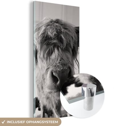 MuchoWow® Glasschilderij 20x40 cm - Schilderij acrylglas - Schotse Hooglander - Zwart - Wit - Dieren - Foto op glas - Schilderijen
