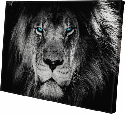 Canvasdoek - Schilderij - Leeuw Lion Blauwe Ogen Aan De Muur Natuur - Zwart, Wit En Blauw - 60 X 90 Cm