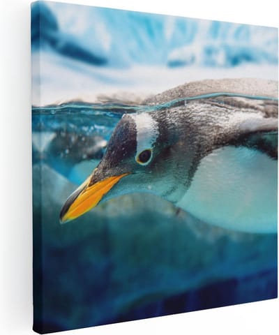 Artaza Canvas Schilderij Pinguïn Onderwater - 30x30 cm - Klein - Wanddecoratie Zee - Muurdecoratie Dieren - Kamer Accessoires