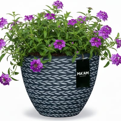 MA'AM Pottery Eve bloempot - Rond - D24x20 - Zwart - inspired by nature |scandinavisch / modern hip / trendy design