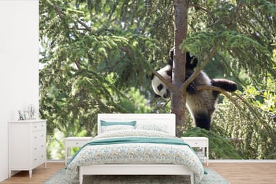 Behang - Fotobehang Panda - Boom - Bladeren - Breedte 420 cm x hoogte 280 cm