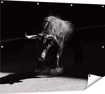 Gards Tuinposter Stier in de Arena - Zwart Wit - 120x90 cm - Tuindoek - Tuindecoratie - Wanddecoratie buiten - Tuinschilderij