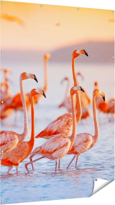 Gards Tuinposter Kudde Flamingo's in het Water - 120x180 cm - Tuindoek - Tuindecoratie - Wanddecoratie buiten - Tuinschilderij