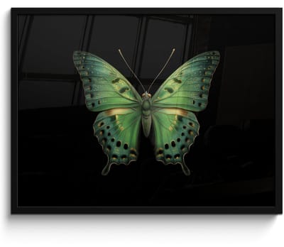 Poster in lijst - Fotolijst 70x50 cm - Posters - Vlinder - Groen - Diepte - Posterlijst zwart - Decoratie - Wanddecoratie woonkamer - Muurdecoratie slaapkamer