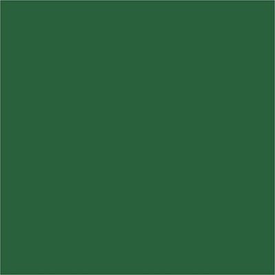 Colortime stiften, lijndikte 5 mm, groen, 12 stuk/ 1 doos