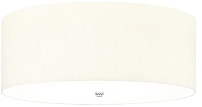 Landelijke Plafondlamp - Steady Lighting - Metaal - Landelijk - E27 - L: 66cm - Voor Binnen - Woonkamer - Eetkamer - Zilver