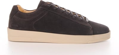 blackstone herensneakers edgard bruin