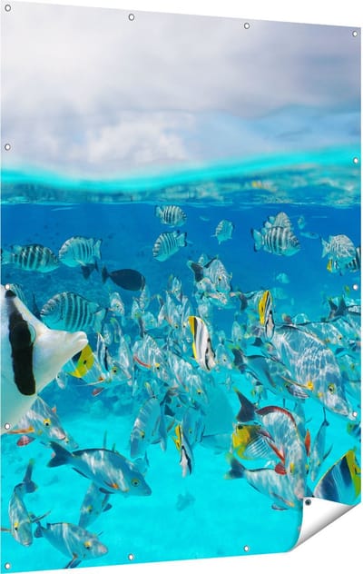 Gards Tuinposter Zwerm Gele Vissen in het Water - 120x160 cm - Tuindoek - Tuindecoratie - Wanddecoratie buiten - Tuinschilderij