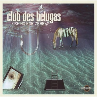 Fishing For Zebras - Club Des Belugas