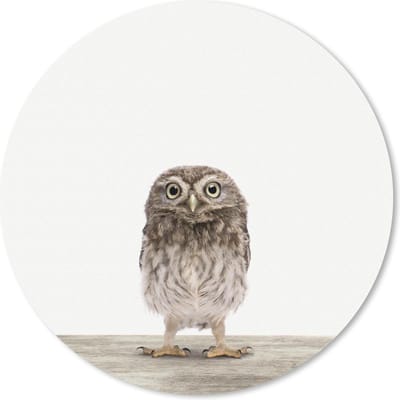 Muismat rond 20x20 cm - Mousepad Dieren - Wit - Uil - Ronde muismatten