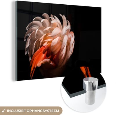 MuchoWow® Glasschilderij 150x100 cm - Schilderij acrylglas - Flamingo - Veren - Licht - Macro - Foto op glas - Schilderijen