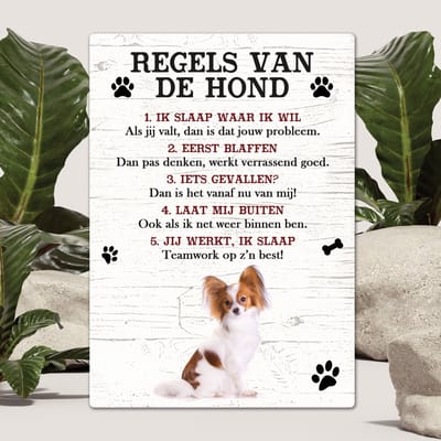 Spreuken - Vlinderhond - Regels Van De Hond - Spreuken Bordjes - Spreukenbord - Tekstborden - Cadeau - Hondenras