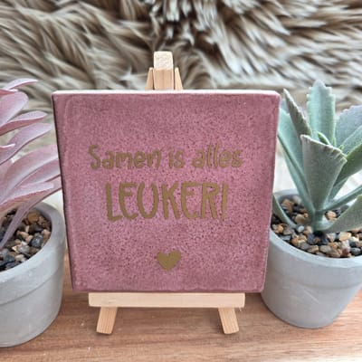 Robuust wenstegeltje “Samen is alles leuker!” – Liefde & Vriendschap Cadeau – Keramiek – Decoratie – Relatie Cadeautje – Vriendschap - Trendy nu