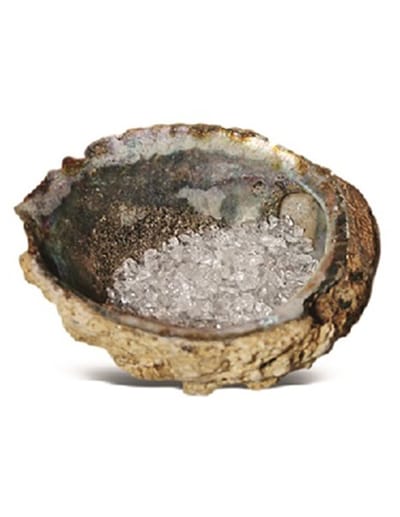 Abalone oplaadschelp