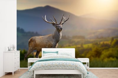 Behang - Fotobehang Hert - Berg - Gras - Zonsondergang - Dieren - Natuur - Breedte 420 cm x hoogte 280 cm