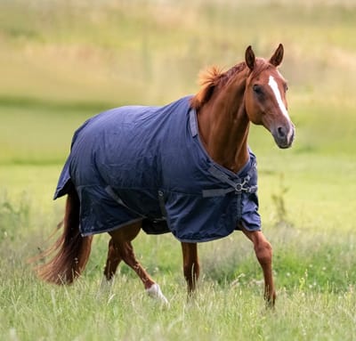 Busse Zomerdeken Early Season Navy 145-195