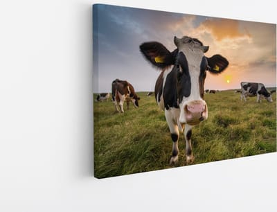 Saammp Canvas Schilderij - Koe in de wei met zonsondergang - Natuur - Dieren - 45x30 - Foto op canvas - Wanddecoratie - Muurdecoratie Woonkamer - Slaapkamer decoratie - Canvas Print