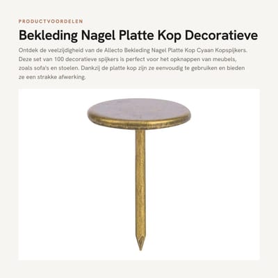 Dailygoods- Kopspijkers Cyaan - Platte Kop - Decoratieve Nagels - 100 Stuks - 14 x 20 mm - Duurzaam en Gemakkelijk te Gebruiken - Decoratieve Spijkers