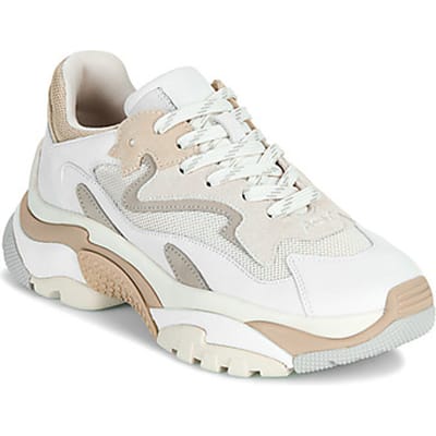 Lage Sneakers Ash ADDICT