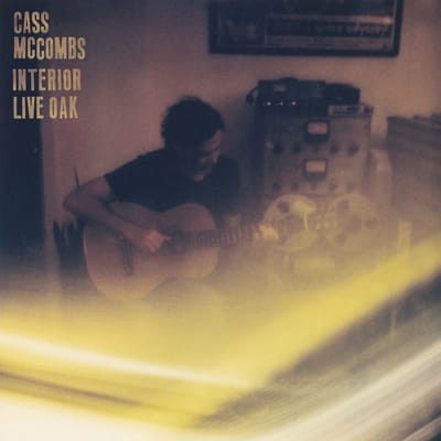 Interior Live Oak - Cass Mccombs