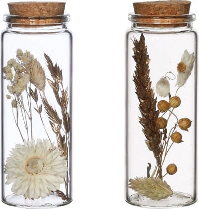 Glazen buis met diverse droogbloemen naturel Ø4.5cm. H: 12.5cm - 12 st