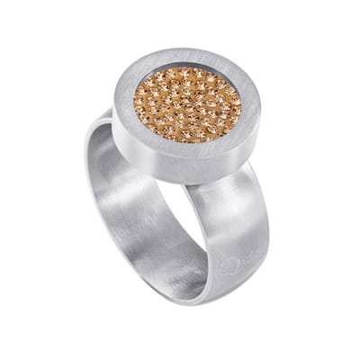 Quiges RVS Schroefsysteem Ring Zilverkleurig Mat 19mm met Verwisselbare Zirkonia Goudkleurig 12mm Mini Munt