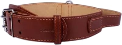 WAUDOG Classic Halsband / Hondenhalsband met Handgreep - Leder - Bruin - Breedte: 45 mm - Nekomtrek: 56 - 68 cm (GELIEVE ALVORENS BESTELLEN OPMETEN)