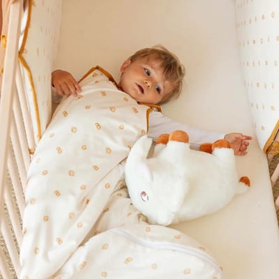 Babyslaapzak Trois Kilos Sept Diplododo