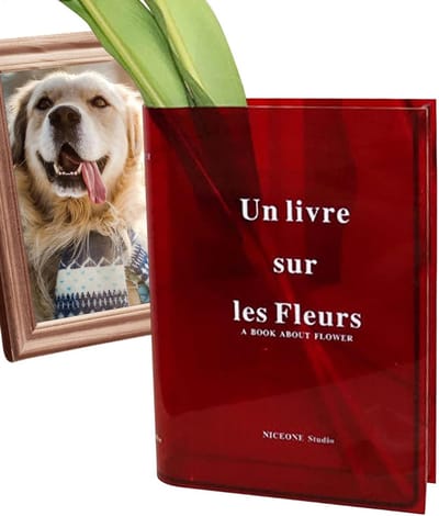 Boekenvaas Transparant - Decoratieve Vaas Acryl - Bloemstuk Maken - Unieke Boogvorm - 21 cm Lengte - Rood