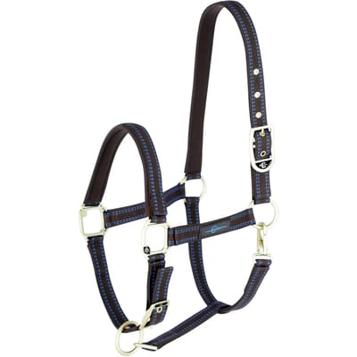 Halster voor paarden Covalliero Royal