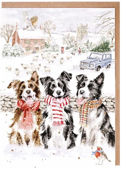 Wrendale Kerstkaarten Notepack - 8 stuks - 'While Shepherds Watched' Dog Christmas Card Pack - Kerstkaart Honden