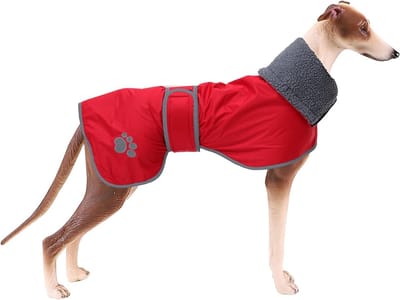 Winterjas voor Honden - Waterdichte Regenjas met Lamsvel Voering en Verstelbare Bandjes voor Middelgrote en Grote Honden - Ideaal voor Buitenactiviteiten en Koud Weer