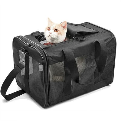 katten reismand - Reismand kat - Opvouwbaar met schouderband - Kattenmand - Extra stevig & veilig model-48x32x32 cm-Zwart-L