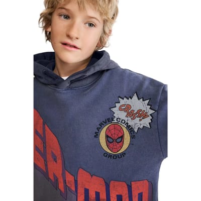 Junior Sweatshirt Desigual Bang! Spider