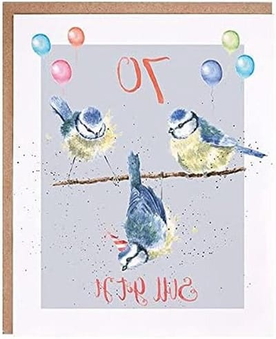 Verjaardagskaart 70 Jaar - Wenskaart Jubileum - Gelukwensen Versturen - Wrendale Vogel Illustratie - 170 x 138 mm - Blauw
