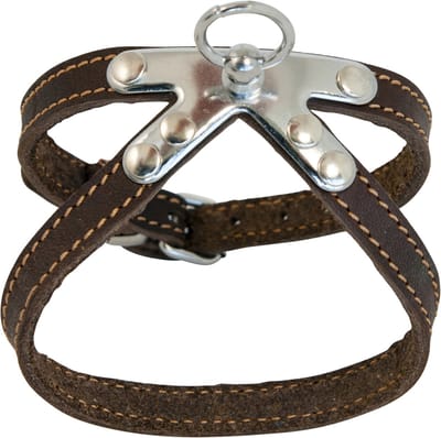 Jack And Vanilla - Tuigjes - Vetleder Springtuigje - Bruin - 10mmx40cm 47/0015 - 177558