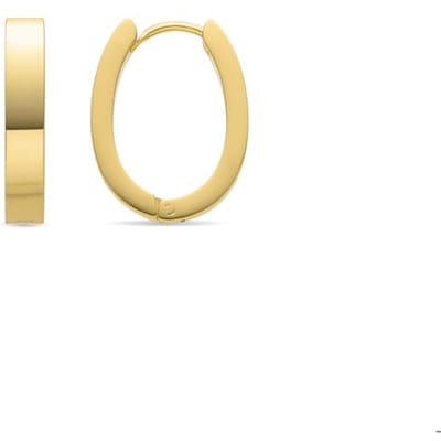 Luxenter 18K goudkleurige oorbellen - Firax