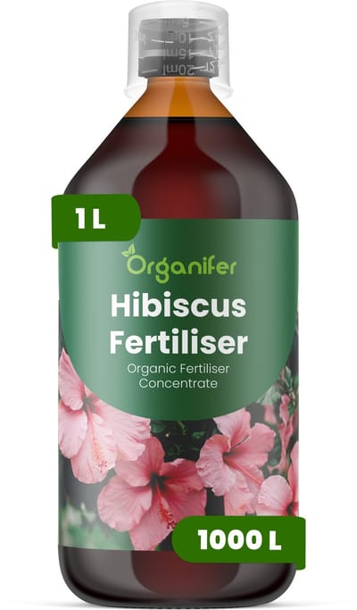Vloeibare Meststof Voor Hibiscus 1 L Voor 1000 L - Npk 2-1-8 - Krachtige Sterke Bloei - Kleurintensiteit - Bloeiduur - Sterke Wortels - Nutriëntenopname - Overvloedige Bloei Geschikt Voor Tropische Pot- En Tuinhibiscus - Organifer