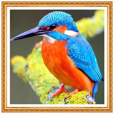 Kingfisher – broderie diamant 3D à faire soi-même, rond, couleur oiseau, point de croix, Animal mignon 20X30CM blue