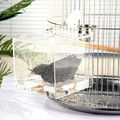 hangend vogelbad kubus vogelbad kuip bad box kooi accessoires kleine vogels kanaries leeuweriken papegaaien kaketoes agaporniden bad (21x21x21cm, Transparant)