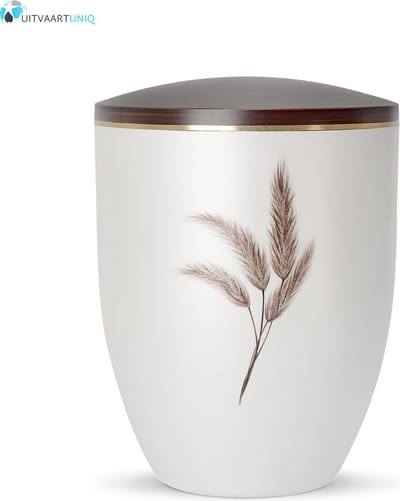 Urn Parlemoer Pampasgras - bio