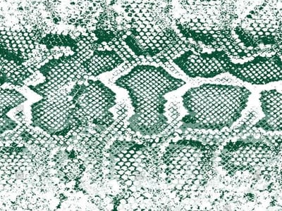 Vinyl | Vloerkleed vinyl | Snake groen | 195x195 cm