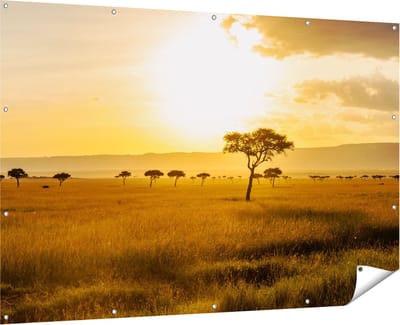 Gards Tuinposter Zonsondergang in de Savanne - 180x120 cm - Tuindoek - Tuindecoratie - Wanddecoratie buiten - Tuinschilderij