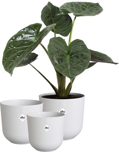 Elho Jazz Rond - Bloempotten voor Binnen - 100% Gerecycled Plastic - Set van 3 - Ø 14, 16, 19 cm - Zijdewit