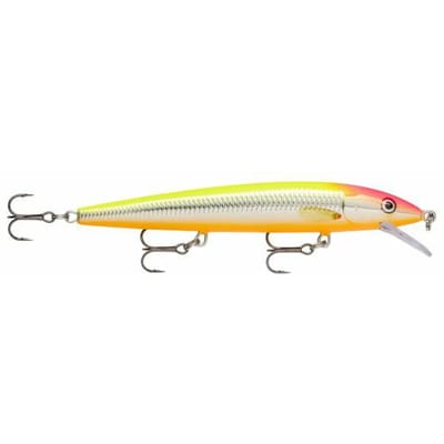 Ophangen van kunstaas Rapala husky jerk 10 cm