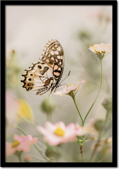Poster vlinder op bloem - 21cm x 30cm a4 - vintage - woonkamer - slaapkamer - bloemen posters - goedkoop - muurposter - natuur - wanddecoratie