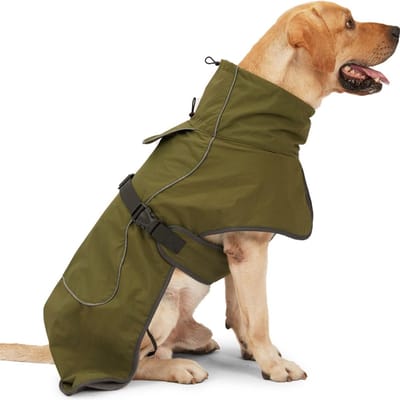 QTTVBTNA - Winter Hondenjas - Water- en Winddicht - Warm gevoerd - Reflecterend jack - Maat M (Gewicht 15–20 kg) - Legergroen - 1 stuk