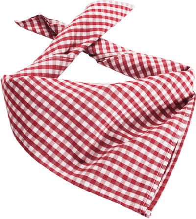 dressforfun - Sjaal geruit rood / wit - verkleedkleding kostuum halloween verkleden feestkleding carnavalskleding carnaval feestkledij partykleding - 303244