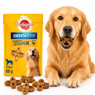 Pedigree Dentastix Chewy Chunx Maxi - Hondensnack voor Tandverzorging - Grote Honden - 68 g