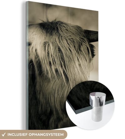 MuchoWow® Glasschilderij 120x160 cm - Schilderij acrylglas - Schotse Hooglander - Dieren - Haar - Foto op glas - Schilderijen
